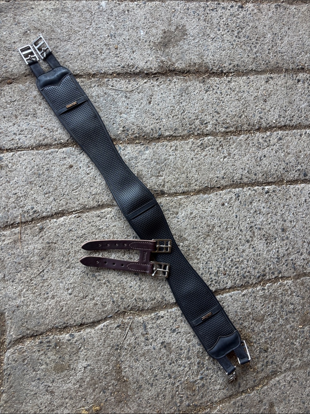 Wintec English Saddle Girth and Girth Extender